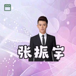 张振宇